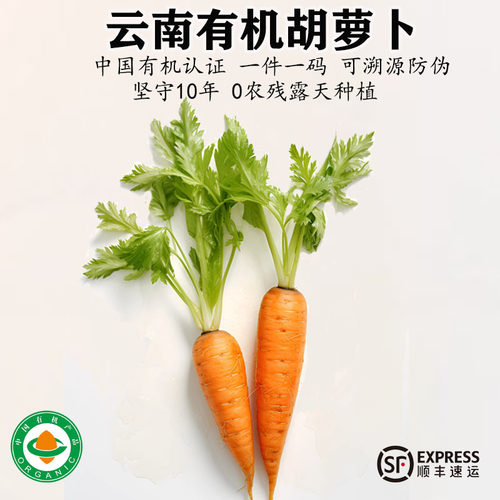 云南有机胡萝卜现挖老品种新鲜蔬菜带泥生吃水果孕妇辅食