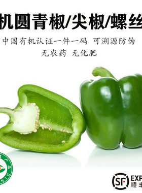 有机青椒新鲜采摘螺丝椒蔬菜辣椒青尖椒青圆椒绿色菜椒微辣无农残