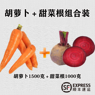 云南胡萝卜&甜菜根组合有机肥种植新鲜蔬菜榨汁现挖生吃自然熟