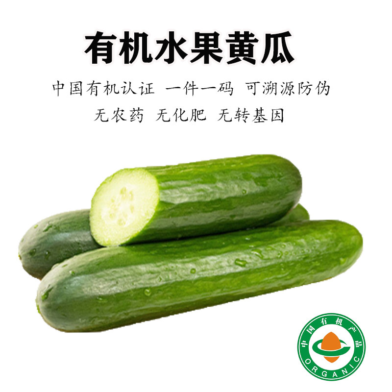 有机水果黄瓜新鲜蔬菜生吃小黄瓜当季轻食健身水果沙拉时令食材
