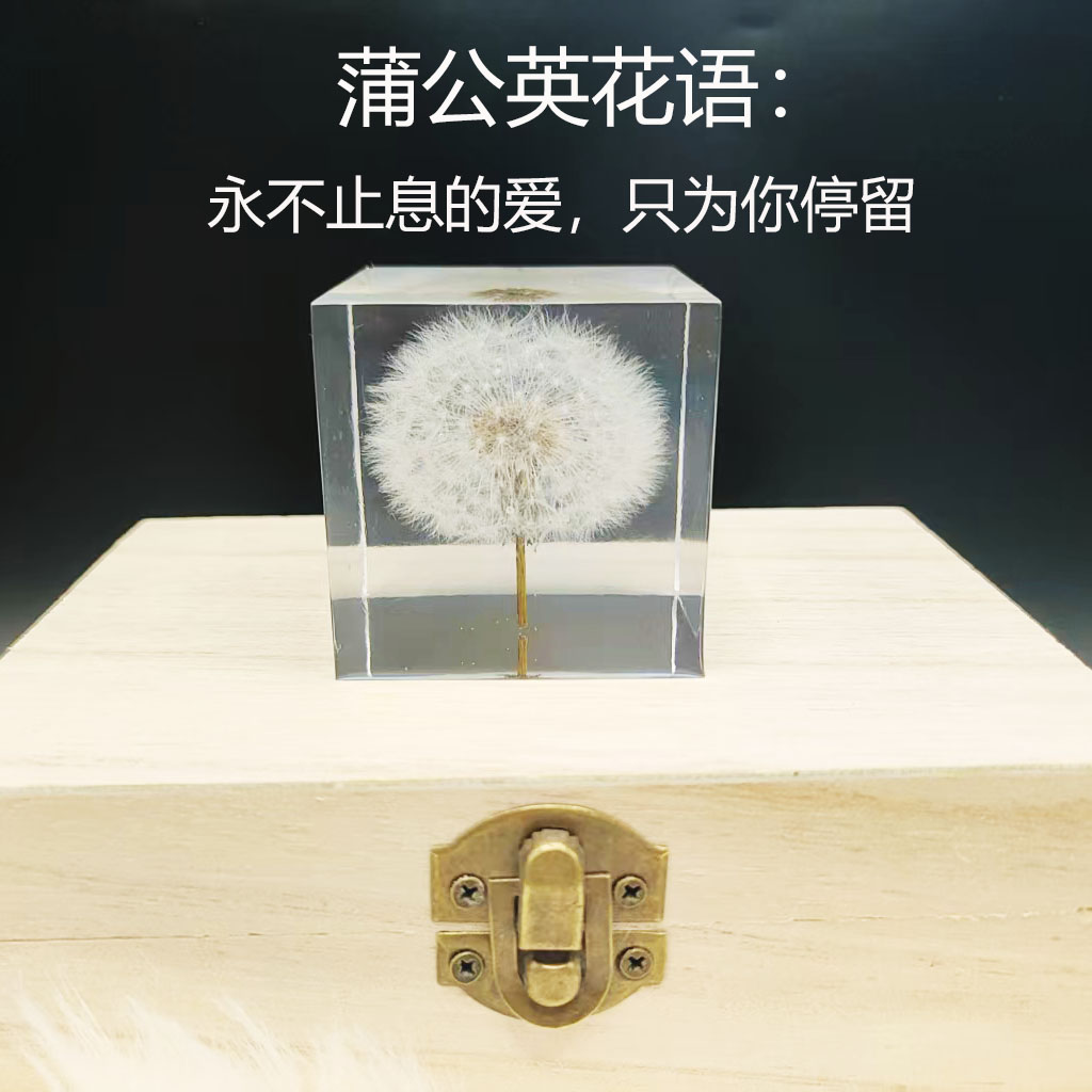 真花标本蒲公英红菊水晶球摆件