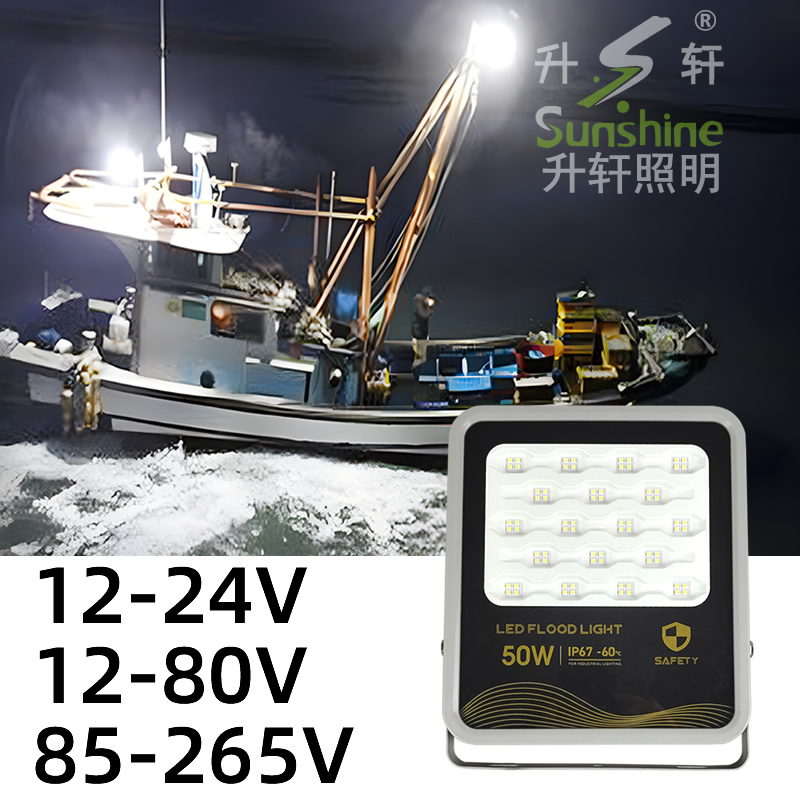 LED投光灯低压12V24V36V48V防水照鱿鱼直流船用抗干扰电瓶地摊