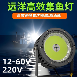 12V24V220VLED聚鱼灯600W1000W1500W户外防水高效电瓶诱鱼集鱼灯