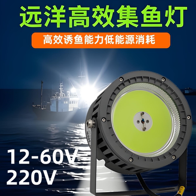 升轩照明12-60V220V超亮集鱼灯