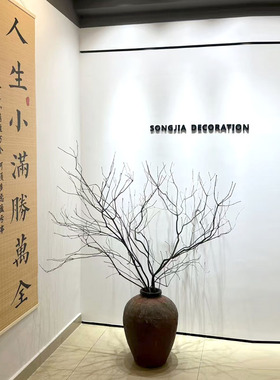 天然原木干树枝落地枯枝摆件服装店禅意树枝装饰自然造型树枝环保