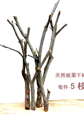原木板栗干树枝民宿禅意树枝装饰天然干树枝橱窗摆件手工木料直销