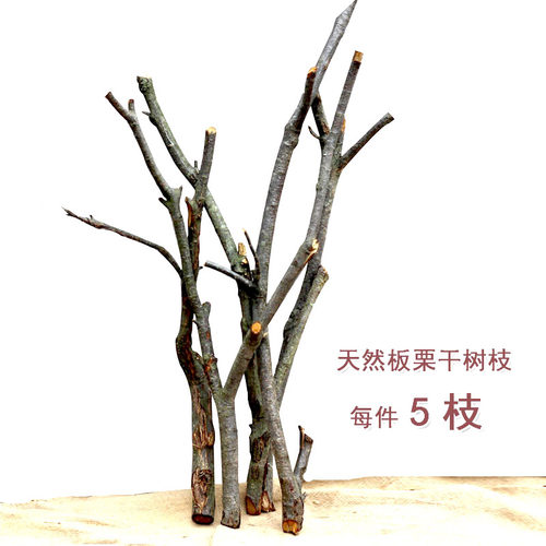 纯天然分杈民宿禅意材料干树枝