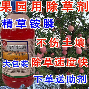 果园用农药精草铵膦磷除草剂杂草连根拔一扫光禾阔双除小飞蓬除草
