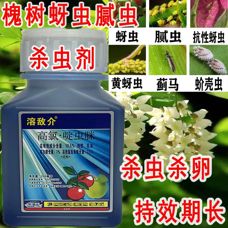 溶敌介高效氯啶虫脒介壳虫蓟马