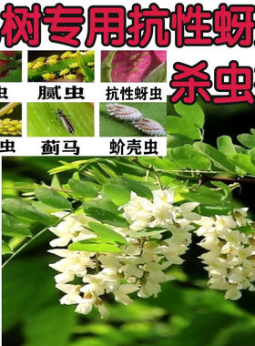 蓝旺啶虫咪20%触杀胃毒强渗内吸