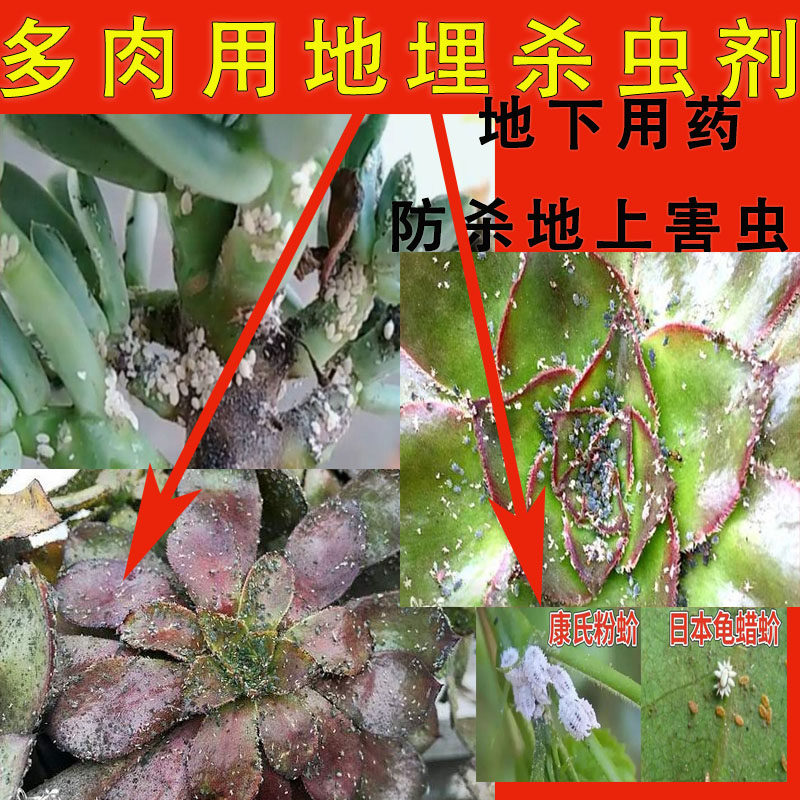 进口配方农药杀虫大全地下用药