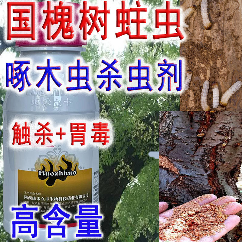 国槐树啄木虫钻心虫蛀虫杀虫剂加高渗速溶剂透皮杀速溶剂杀虫杀卵