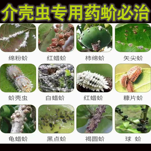 高效氯氟菊酯啶虫咪高渗速溶助剂