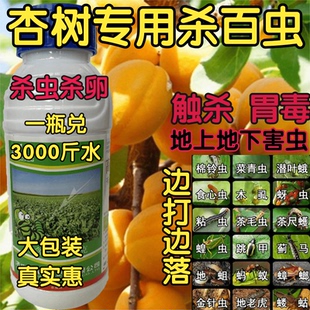 杏树大黄杏专用杀虫剂大青虫钻心虫毛毛虫杀虫卵地上地下害虫农药