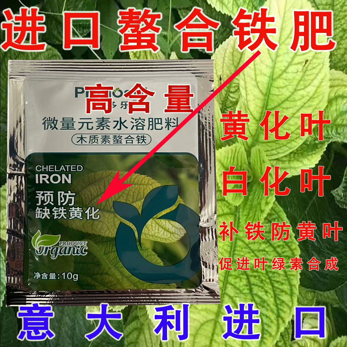 硫酸亚铁精粉一喷绿花卉三角梅