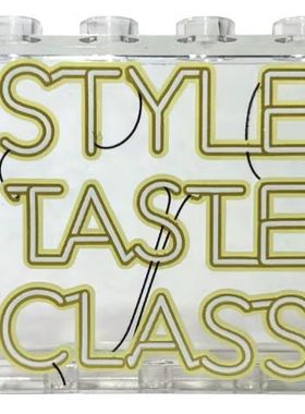 乐高 LEGO 透明白色 60581 6345179 STYLE TASTE CLASS 印刷壁板