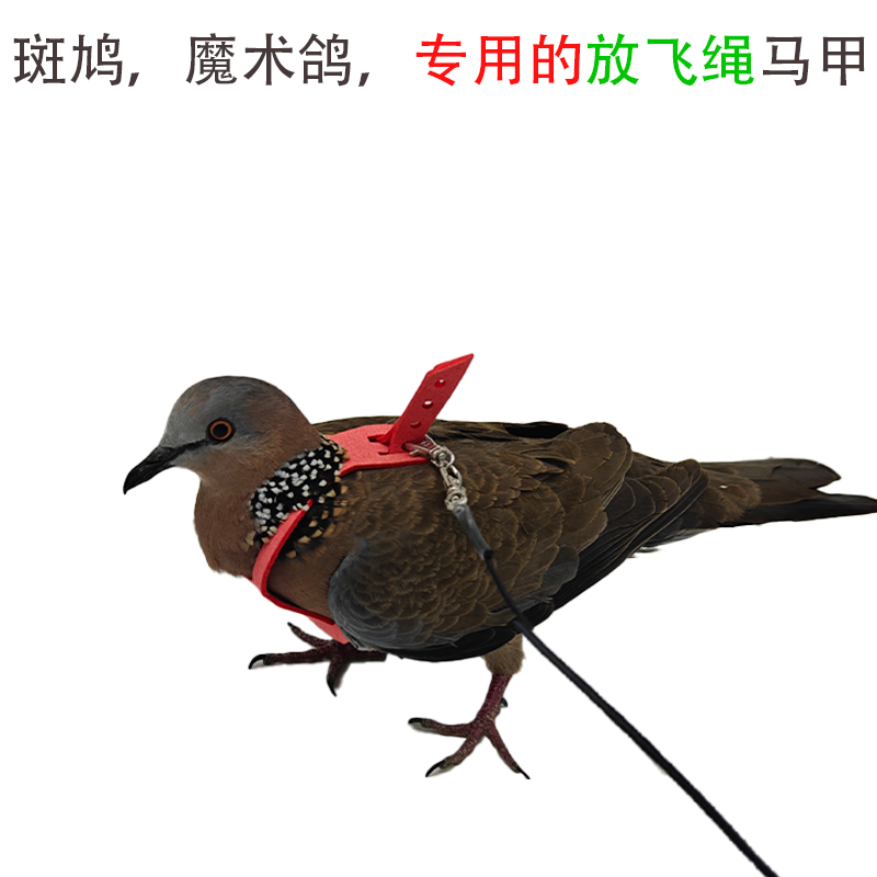 斑鸠魔术鸽放飞绳马甲背带