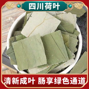 荷叶250g中药材无硫搭山楂决明子玫瑰泡茶无枯叶新鲜淡绿干叶四川