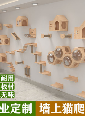 全实木猫爬架子墙猫窝太空舱猫爬架大型猫猫爬架不占地猫跳架梯子