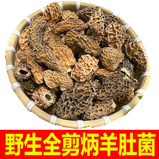 神农架剪炳新鲜纯野生羊肚蘑菇精选特级西藏野生羊肚菌干货羊肚菇