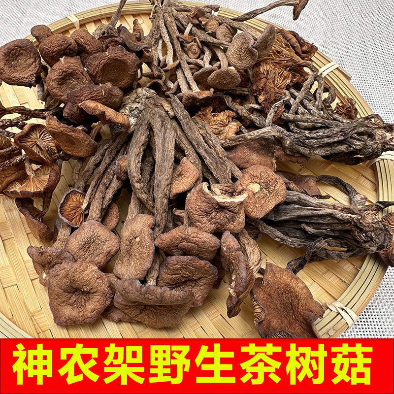 茶树菇野生特级干活蘑菇味道很香