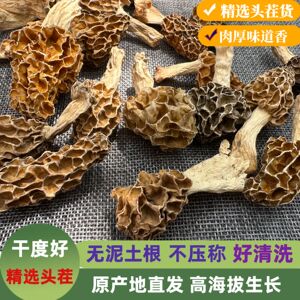 深山头茬野生小个羊肚菌干货500g