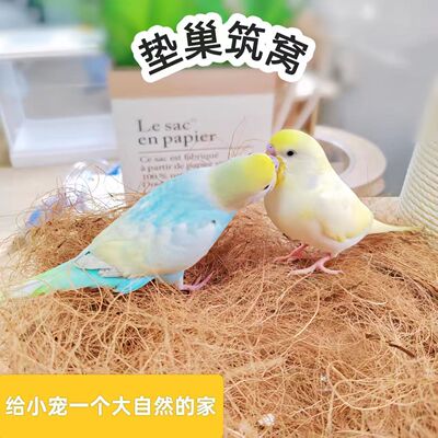 鸟窝垫料虎皮鹦鹉保暖透气草丝椰棕丝鸽子鸟巢垫材椰丝芦丁鸡鸡窝