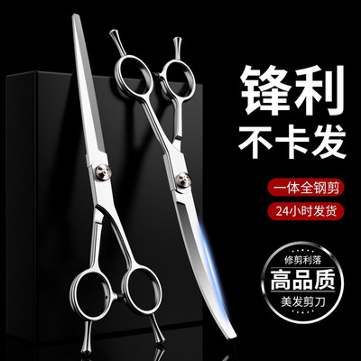 专业宠物美容家用狗狗剪毛专用剪刀套装弯剪泰迪修毛工具