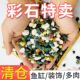 天然彩石五花石多肉铺面石鱼缸造景石底砂彩色石头小石子庭院装 饰
