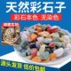 天然五彩石雨花石鱼缸造铺底盆栽水培多肉植物铺面装 饰小石头
