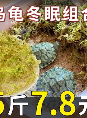 乌龟冬眠专用土天然细河沙椰土苔藓冬眠用品全套过冬防寒保暖底砂