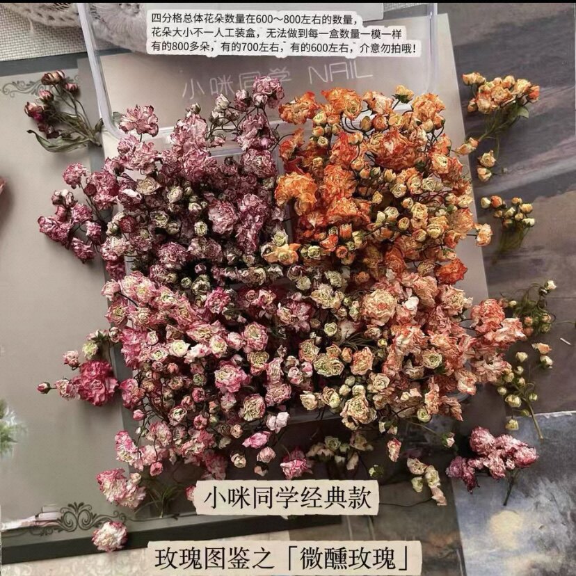 【小咪】原创美甲立体干花系列手帐景观美甲干花永生花图片