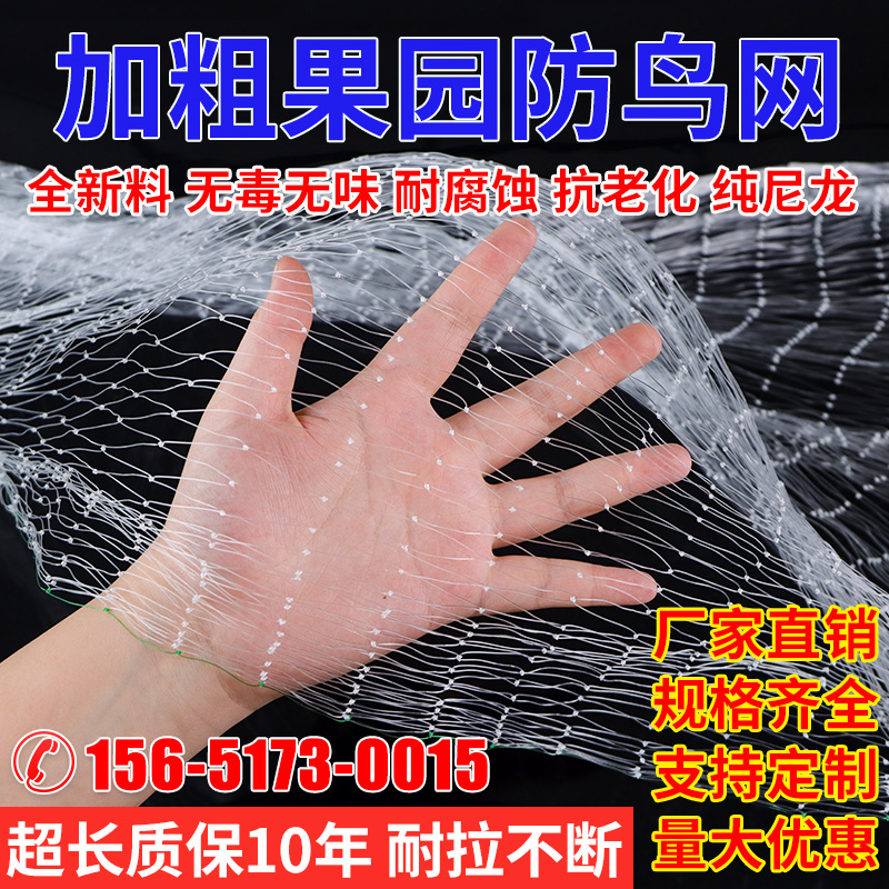 煦泽防鸟网加粗耐用抗老化耐拉扯