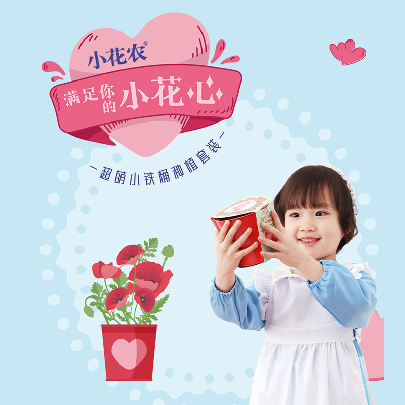 匹诺考古阳光种植种子发芽