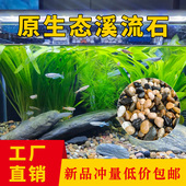 原生溪流石底砂鱼缸水族乌龟缸造景专用石子鹅卵石水培铺底雨花石