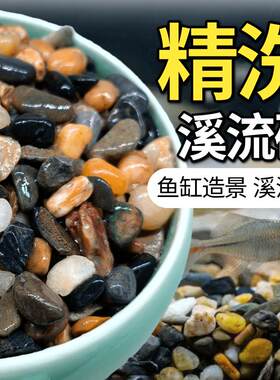 精洗精筛溪流石天然鱼缸底砂溪流缸造景铺底乌龟蟹鱼原生净化水质