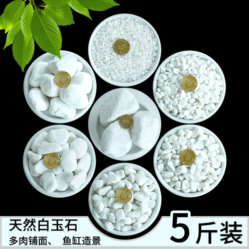 天然白石子小白玉石五彩石鹅卵石雨花石多肉石头铺面水培鱼缸铺院 - 封面