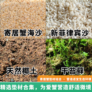免洗寄居蟹专用海沙蟹饲养沙螃蟹辣椒蟹用品免洗原生鱼缸造景底砂