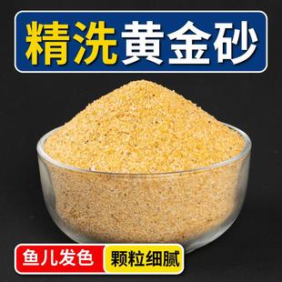 黄金沙狗头鱼南美鼠鱼缸装饰底砂天然水陆造景细河沙水草细砂