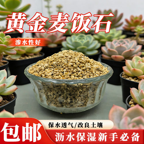 黄金麦饭石多肉专用颗粒兰花营养土壤盆栽铺面种植上色控养根