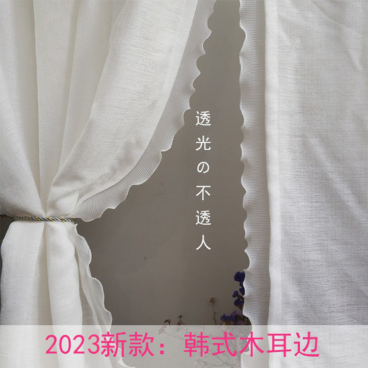 透光韩式风客厅卧室窗纱