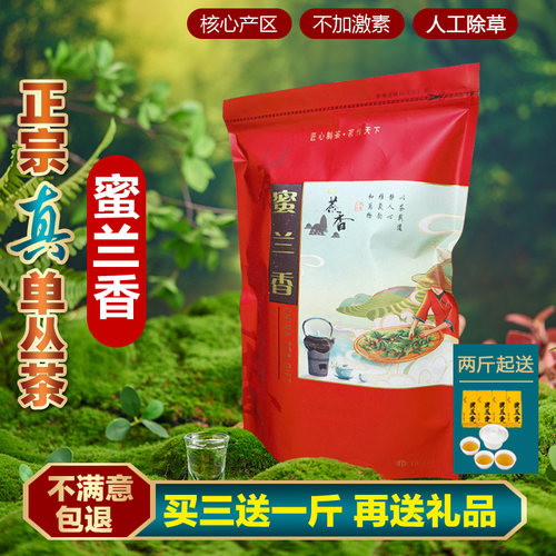 鸭屎香凤凰单枞茶春茶乌岽蜜兰香
