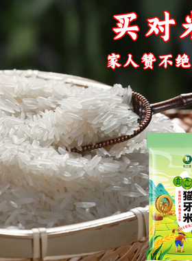 【广西壮乡】正宗软香猫牙米长粒香米清香晚稻大米现磨米