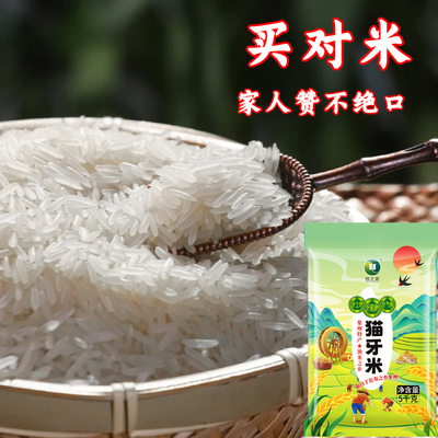 猫牙米长粒香晚稻新米真空包装