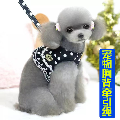 小型犬背心式带牵引绳衣服