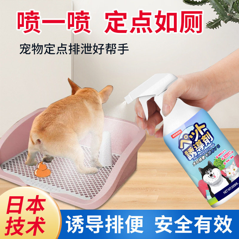 小狗狗定点如厕诱导用品