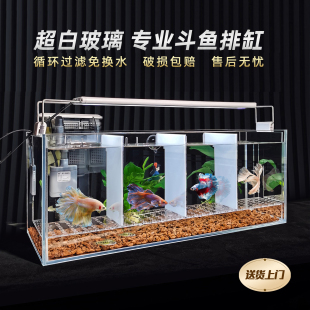 泰国斗鱼专用排缸多格组合孔雀鱼国斗鱼缸隔离超白玻璃专业用组缸