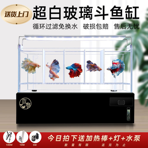佐黎泰国斗鱼专用玻璃缸多格排缸底过滤整套组系统懒人鱼缸免换水