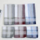 跨境热销40cm男士 格子段纹手帕西装 口袋巾欧美浅色系手帕纯棉手巾