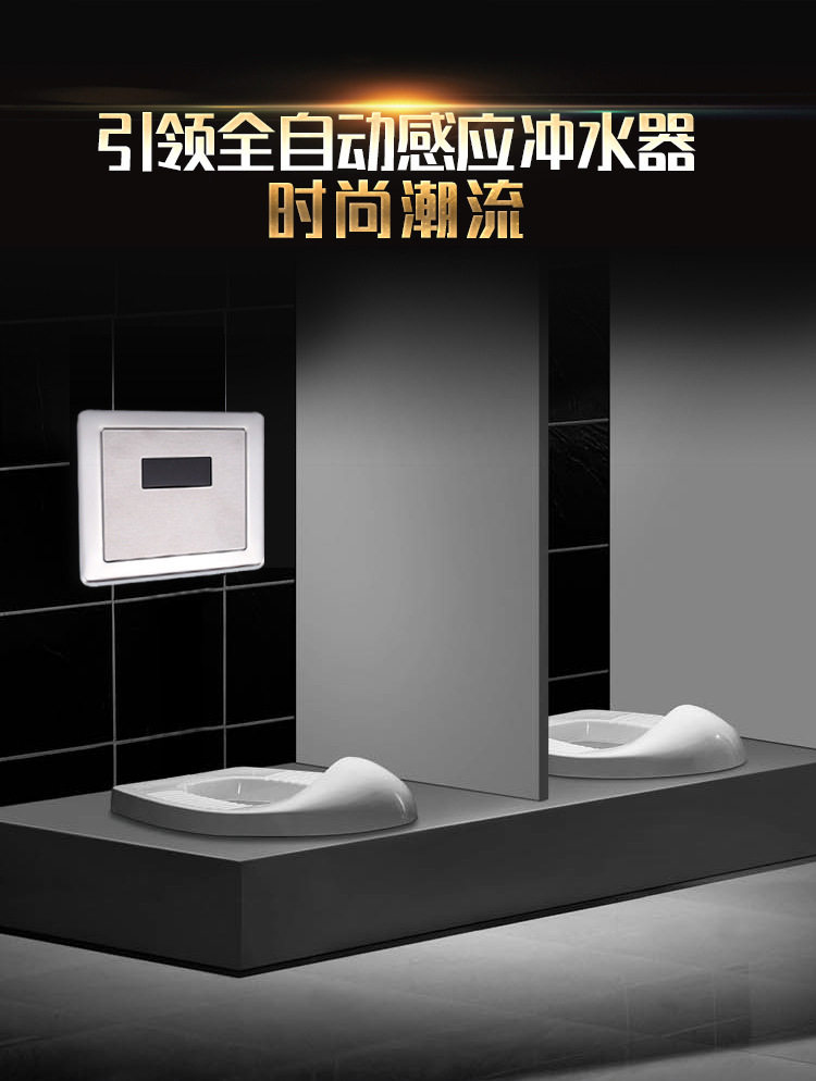 丽园堂华星瑞佑红外感应冲水阀蹲便感应器暗装大便感应器冲便器